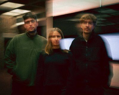 Contemporary Voices: Cnidaria